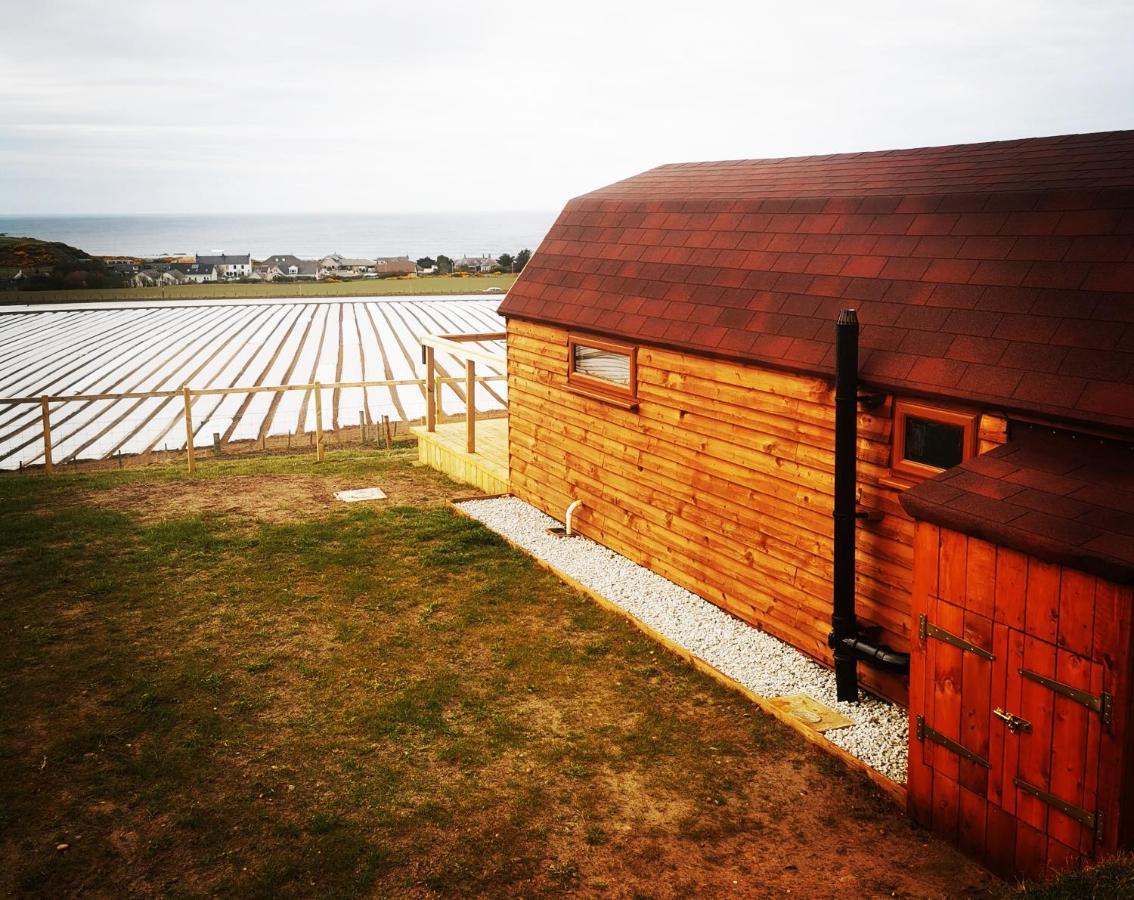 מלון באנף Gowanview Glamping מראה חיצוני תמונה